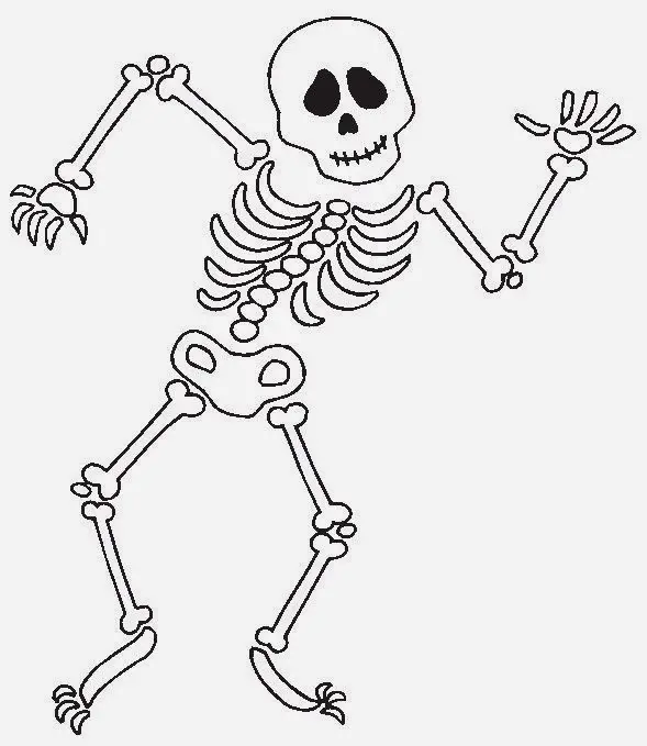 clipart human skeleton outline - photo #12